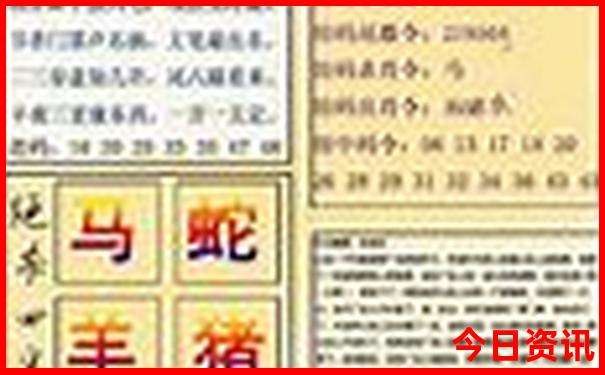 .2025澳门特马今晚开奖046期